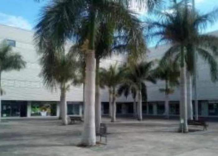 Appartamento Dream Curtidos *