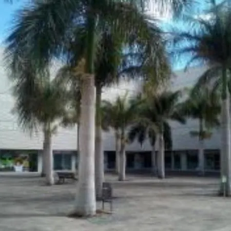 Apartamento Dream Curtidos *